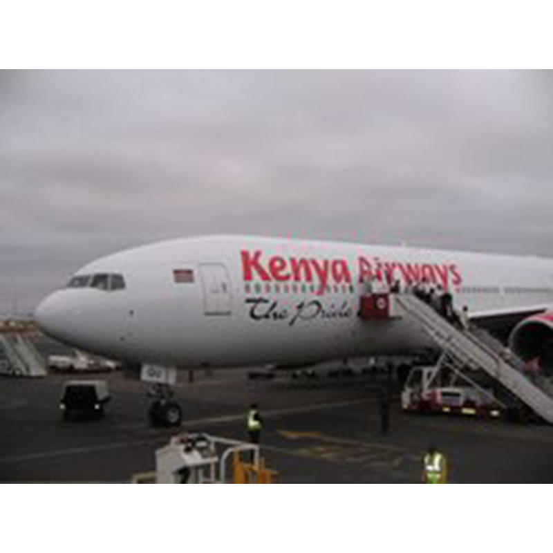 Kenya Airways'e Genel Bakış