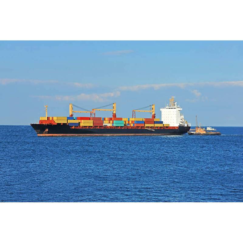 Sea Freight'ı küresel nakliye için en akıllı seçim yapan nedir?